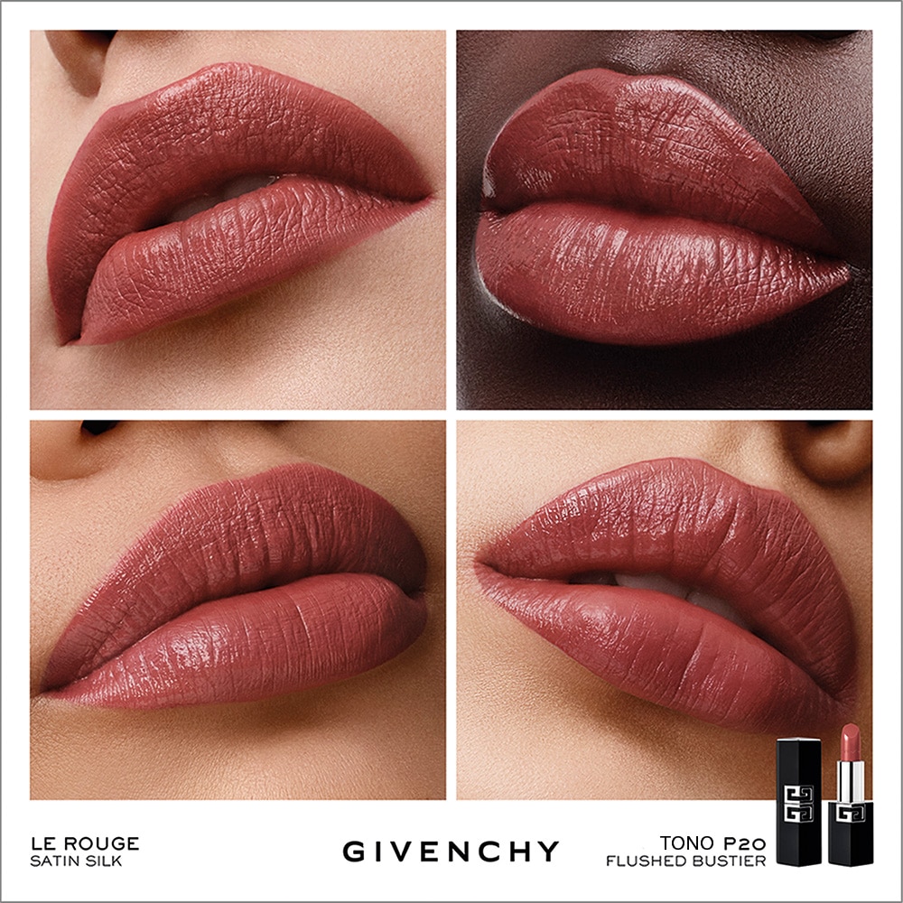 LE ROUGE SATIN SILK (LABIAL DE ALTA DEFINICI&Oacute;N)